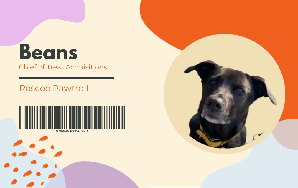 Beans — Chief of Treat Acquisitions