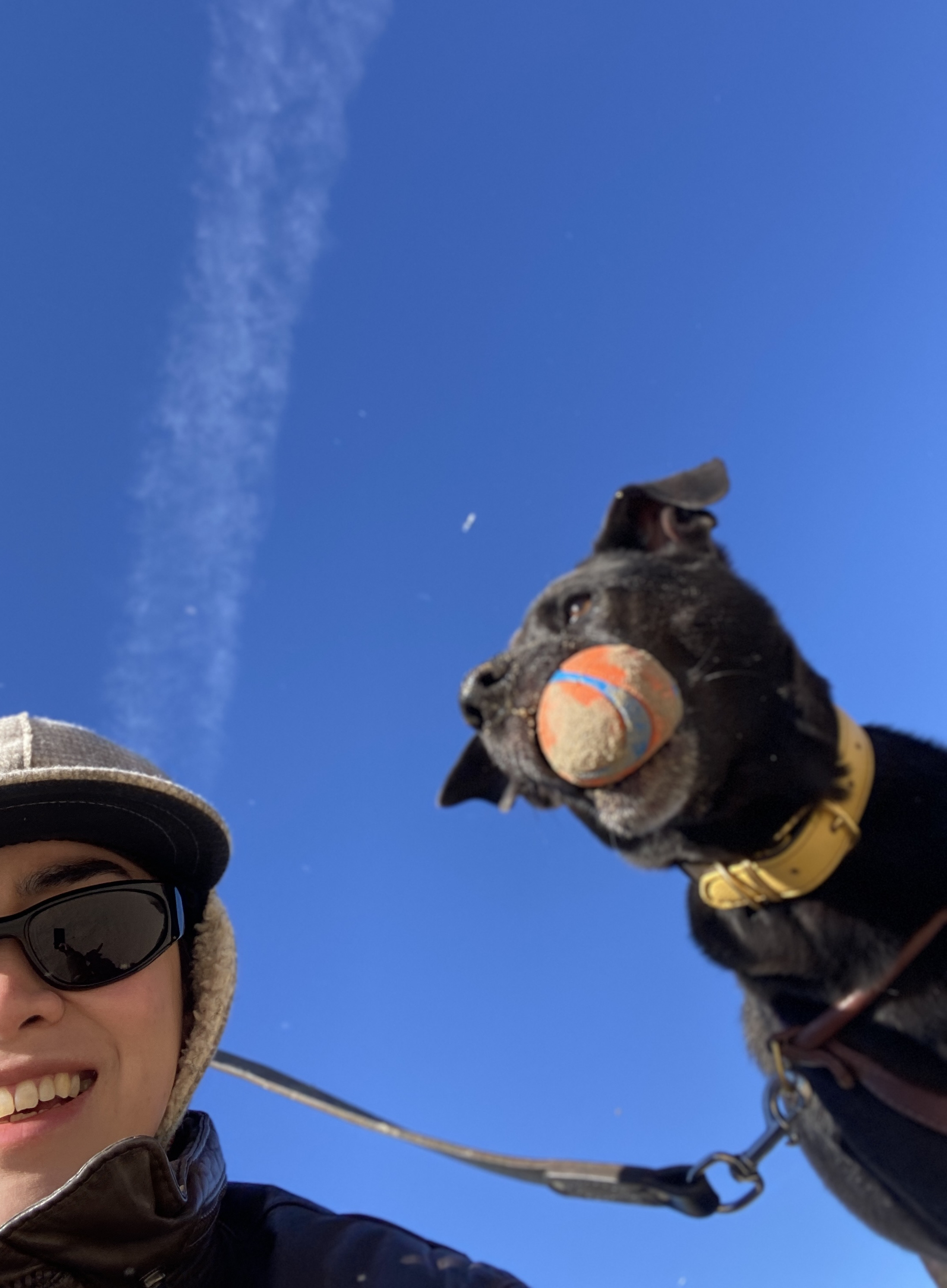 Photo of Cara, founder and lead walker of Roscoe Pawtroll
