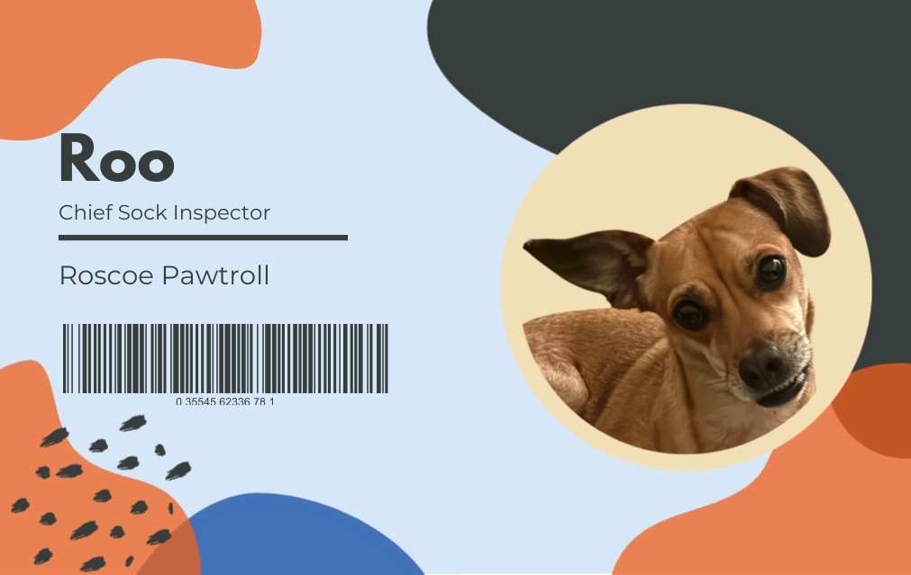 Roo — Chief of Treat Acquisitions